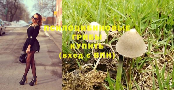 тгк Армянск