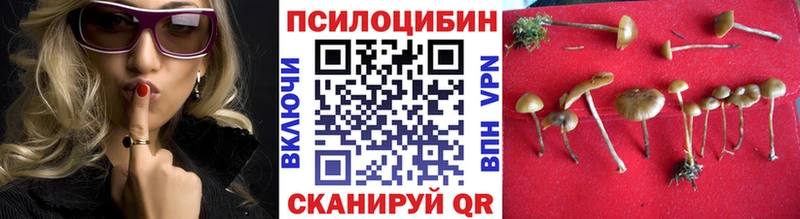 Купить где  Тогучин  Галлюциногенные грибы Magic Shrooms 